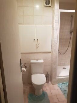 Světlý byt 1+kk (33 m²) Brno – Líšeň, ihned k nastěhování, b