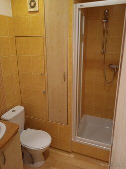 Nabízím k pronájmu útulnou garsonku o velikosti 20m2 nacháze