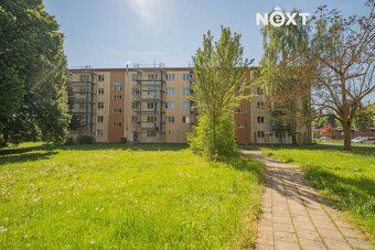 Prostorný byt 3+1 po rekonstrukci, 74 m2, 17. listopadu, Záb