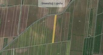 V katastrálním území Hustopeče u Brna v okrese Břeclav nabíz