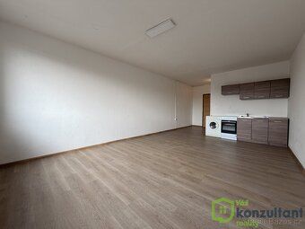 Ev.č. 01069 Pronájem bytu 1+kk, 35 m², po rekonstrukci, Bohu