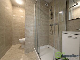 Ev.č. 01069 Pronájem bytu 1+kk, 35 m², po rekonstrukci, Bohu