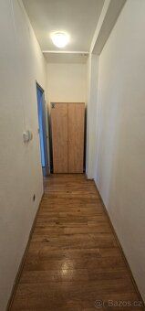 Nabízím k pronájmu útulný byt o celkové ploše 38 m² v klidné