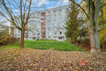 Pronájem, byty/1+1, 38 m2, U Potoka 749, 56601 Vysoké Mýto, 