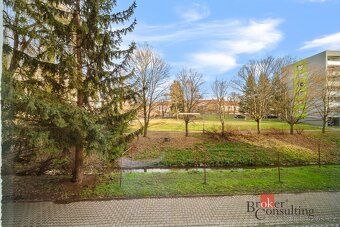 Pronájem, byty/1+1, 38 m2, U Potoka 749, 56601 Vysoké Mýto, 