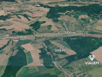 Nabízím k prodeji lesní pozemek po těžbě v obci Hradčovice. 