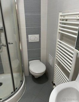 Dobrý večer všem, nabízím byt 1+1 o velikosti 42 m² na Slova