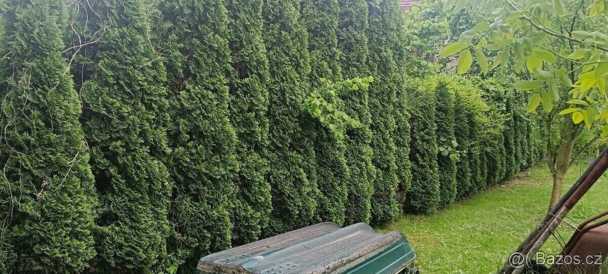 Rádi bychom nabídli k prodeji náš pozemek. Nachází se na krá