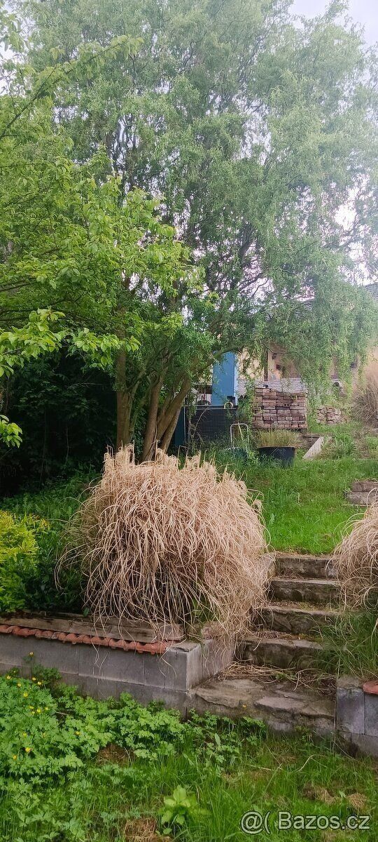 Rádi bychom nabídli k prodeji náš pozemek. Nachází se na krá