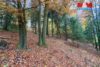 K prodeji nabízíme lesní pozemek o výměře 6 855 m² v katastr