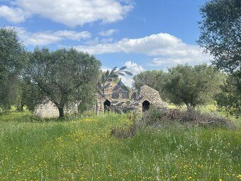 Nabízíme k prodeji jedinečný pozemek o velikosti 10 000 m² v