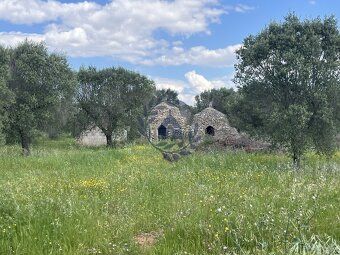 Nabízíme k prodeji jedinečný pozemek o velikosti 10 000 m² v