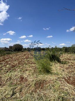 Nabízíme k prodeji dům o obytné ploše 110 m² s pozemkem o ve