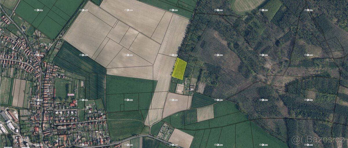 Nabízím k prodeji lesní pozemky v katastrálním území Bechlín