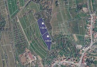 Nabízím k prodeji pozemky v katastrálním území Boršice u Buc