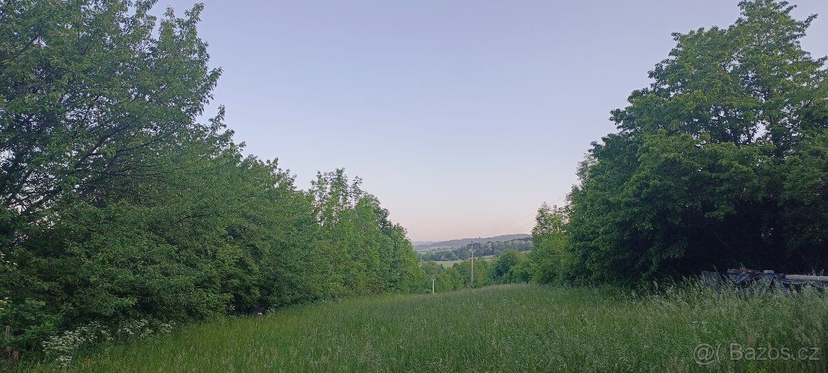 Prodám pozemky na krásném místě v podhůří Jeseníků.. Olomouc