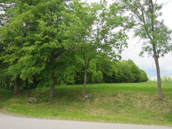 Prodám pozemek 2539m2 v obci Božejovice. Orná půda. (u Jiste