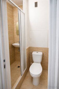Pronájem slunného a útulného bytu 1+kk na ulici Halasovo nám