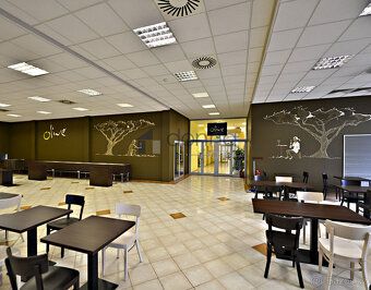 Nabízíme k pronájmu kancelářské prostory o výměře 570 m2 v 1