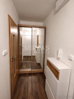 Nabízíme Vám k pronájmu byt 2+kk, 41m2, v obci Benátky nad J