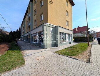 Nabízíme k pronájmu komerční prostor o velikosti 53 m² ve ve