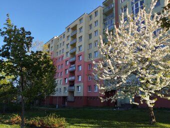 Nabízím k pronájmu prostorný byt 3+1 82 m2 (plocha jako 4+1)