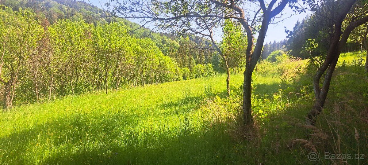 Nabízím louku 1800 m² Cena v textu popripade dohodou. Lokali