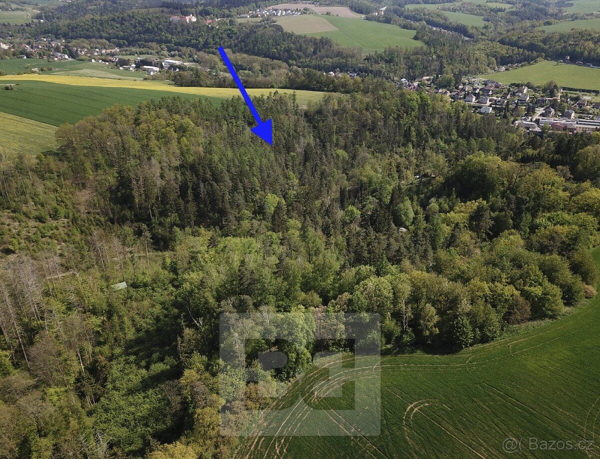 Ev.č. N08074 Nabízíme Vám pozemek - les o ploše 4369m2 nachá