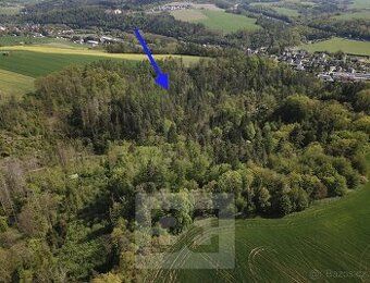Ev.č. N08074 Nabízíme Vám pozemek - les o ploše 4369m2 nachá