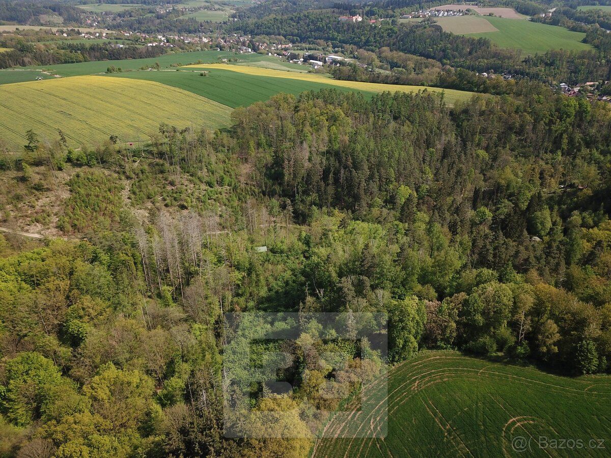 Ev.č. N08074 Nabízíme Vám pozemek - les o ploše 4369m2 nachá
