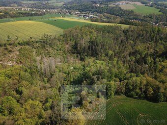 Ev.č. N08074 Nabízíme Vám pozemek - les o ploše 4369m2 nachá