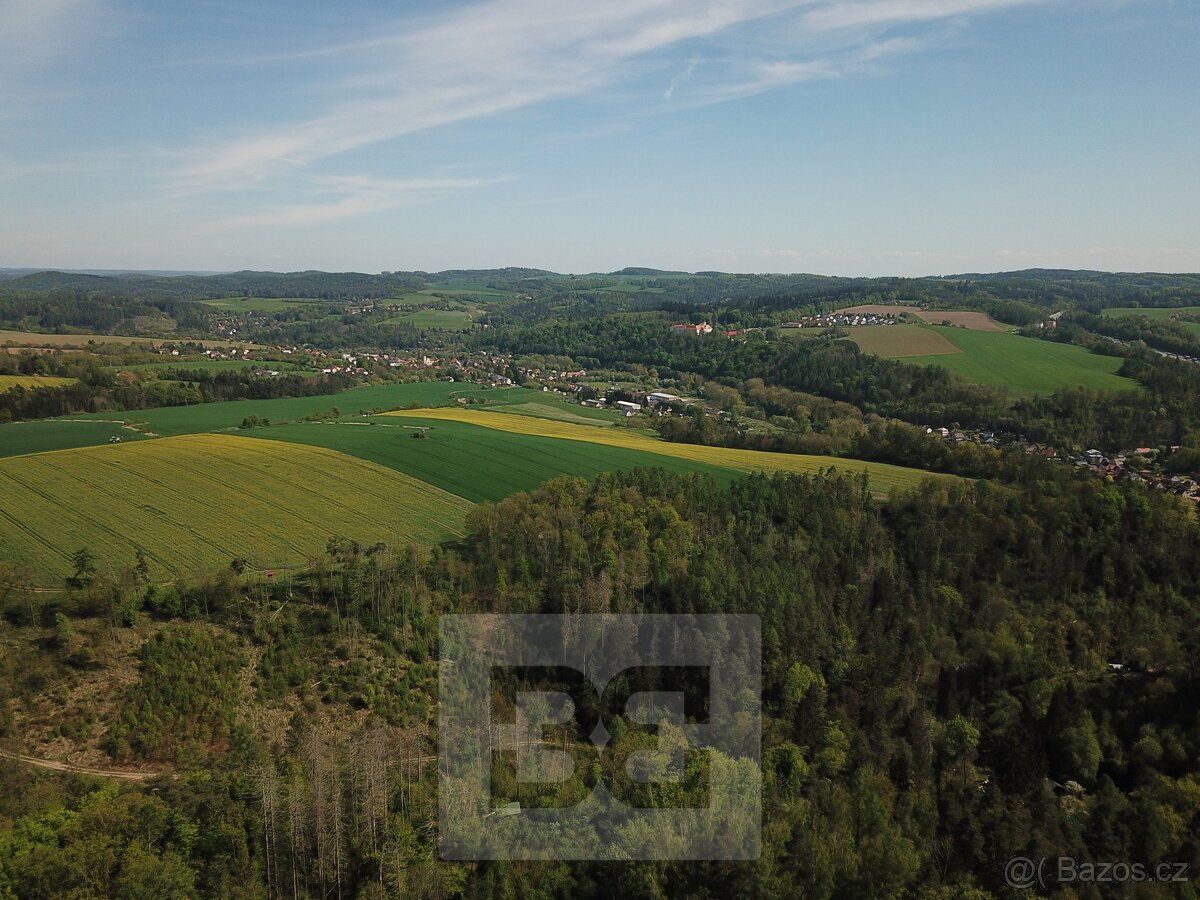 Ev.č. N08074 Nabízíme Vám pozemek - les o ploše 4369m2 nachá