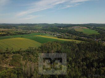 Ev.č. N08074 Nabízíme Vám pozemek - les o ploše 4369m2 nachá