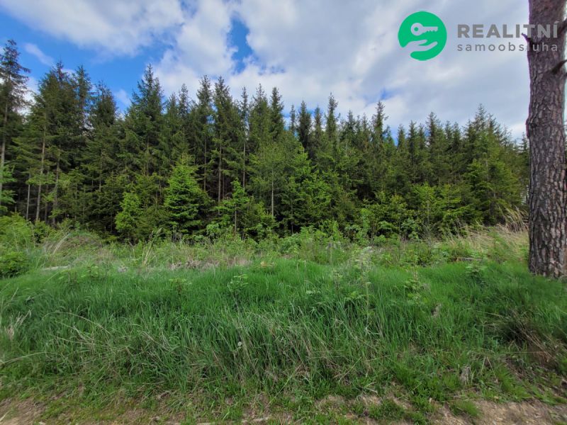 Prodám lesní pozemky tvořící jeden celek. Rozloha: 72 939 m²