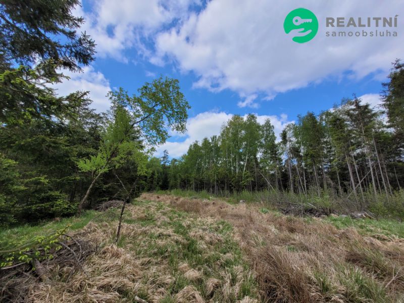 Prodám lesní pozemky tvořící jeden celek. Rozloha: 72 939 m²
