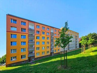 Nabízíme k prodeji družstevní byt s dispozicí 1+1 o výměře 3