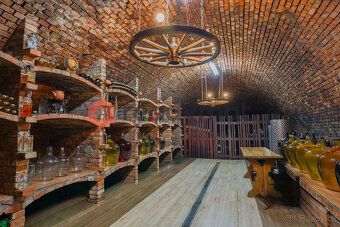 Penzion s restaurací, vinnými sklepy a silným investičním po