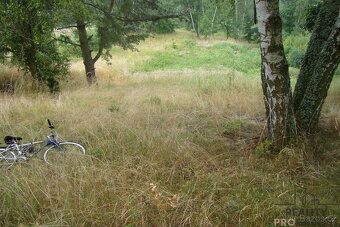 Prodej zahrady o velikosti, 2000m2, v Krušovicích. Pozemek j