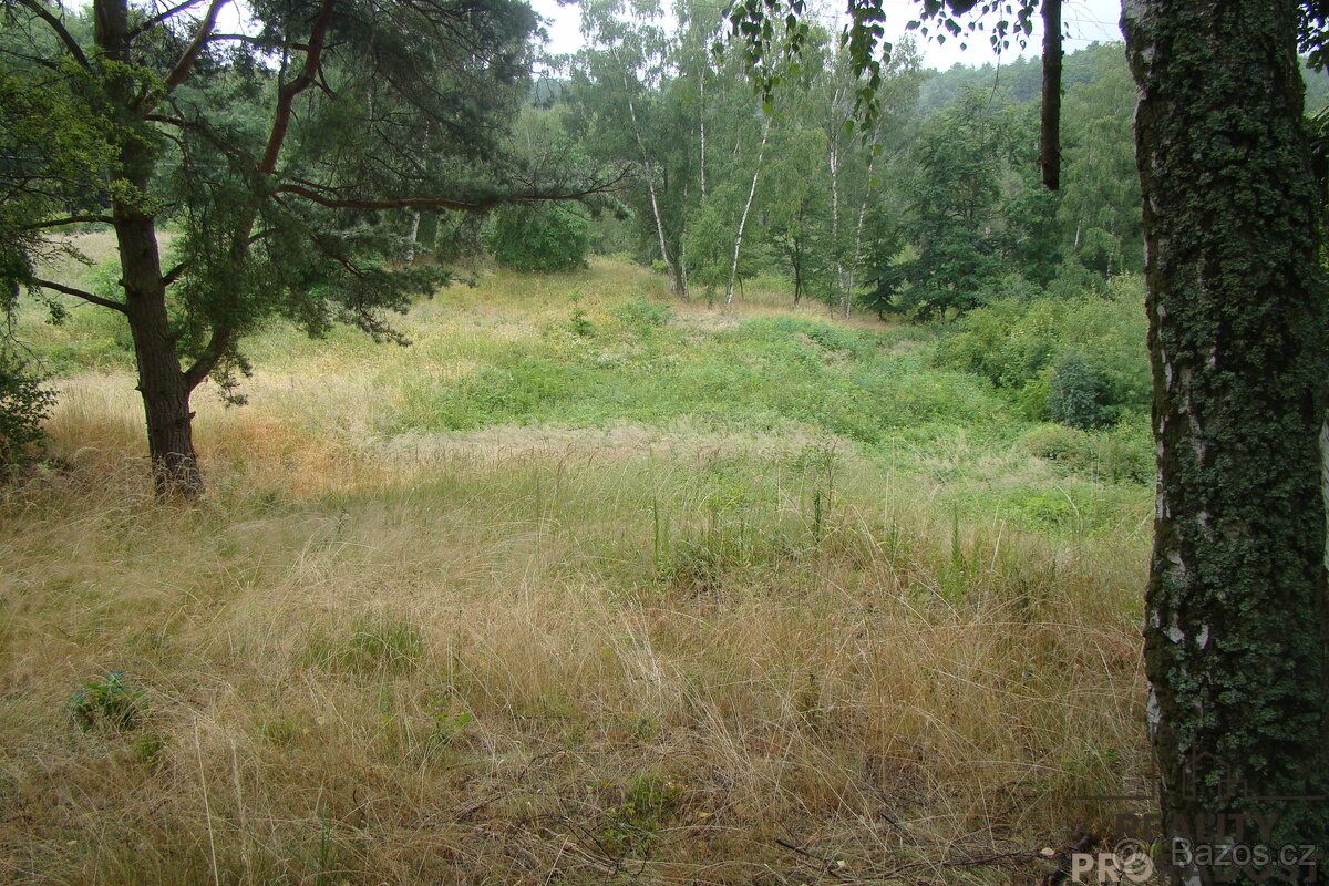 Prodej zahrady o velikosti, 2000m2, v Krušovicích. Pozemek j