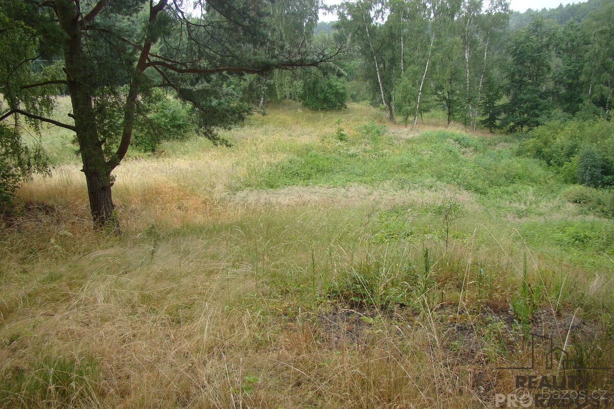 Prodej zahrady o velikosti, 2000m2, v Krušovicích. Pozemek j