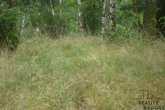 Prodej zahrady o velikosti, 2000m2, v Krušovicích. Pozemek j