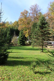 Nabízím k pronájmu krásnou zahradu o rozloze cca 1400 m² v k