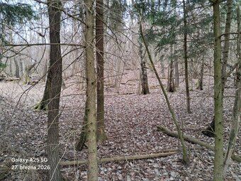 nabízím malý lesní pozemek uvnitř pěkného remízu.; 677 m², p
