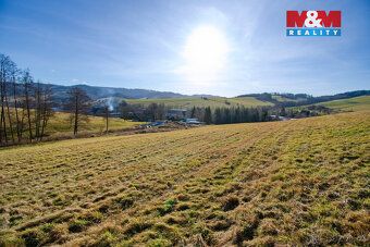 Nabízíme k prodeji komerční pozemek o rozloze 2979 m² v kata