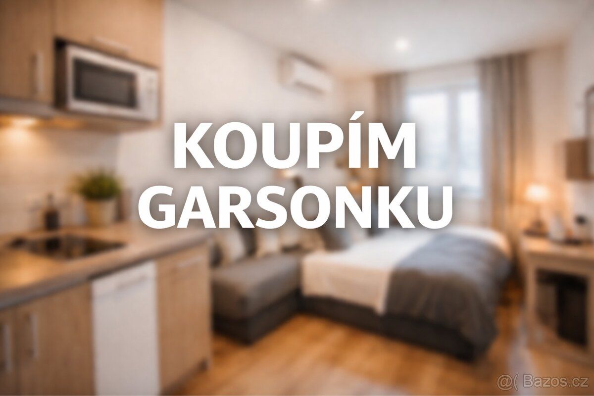 Hledám v Břeclavi garsoniéru, garsonku, byt 1kk, byt 1+kk. N
