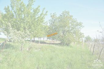 Naše realitní kancelář Vám zprostředkuje pronájem souboru po