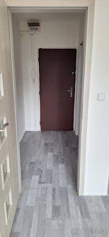 Prodám garsoniéru po rekonstrukci 21m Horní Litvínov po reko
