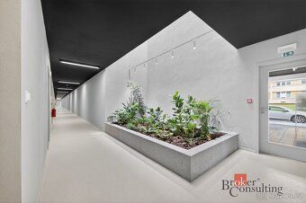Pronájem, byty/1+kk, 27 m2, Plzeň , Plzeň-město [ID 85955]
N