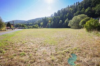Prodám pozemeky 3/5 (2157m²) určené k rekreaci , možnost cha