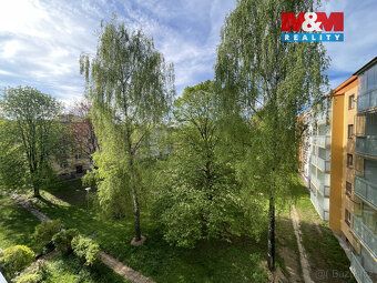 Nabízíme k dlouhodobému podnájmu byt 1+1 o velikosti 39 m² n